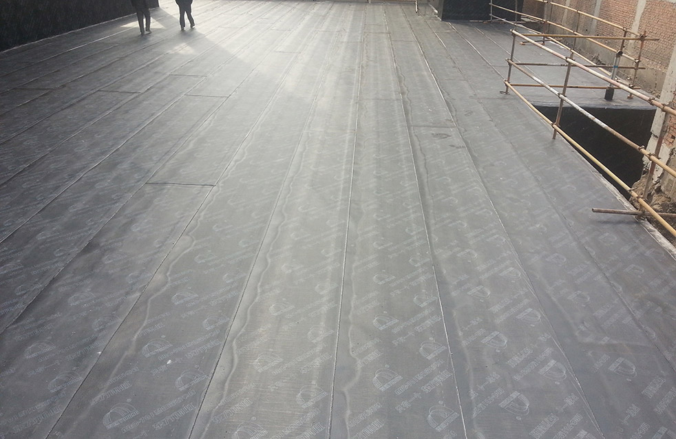 游艇会·yth206(中国)最新官方网站