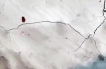 游艇会·yth206(中国)最新官方网站