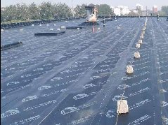 游艇会·yth206(中国)最新官方网站