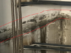 游艇会·yth206(中国)最新官方网站