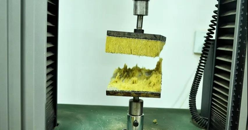 游艇会·yth206(中国)最新官方网站