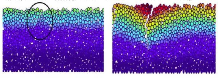 游艇会·yth206(中国)最新官方网站