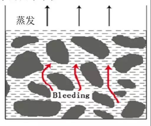 游艇会·yth206(中国)最新官方网站