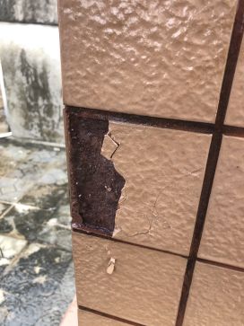 游艇会·yth206(中国)最新官方网站