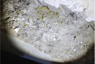 游艇会·yth206(中国)最新官方网站