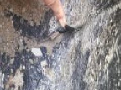 游艇会·yth206(中国)最新官方网站