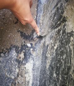 游艇会·yth206(中国)最新官方网站