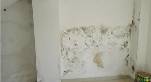 游艇会·yth206(中国)最新官方网站