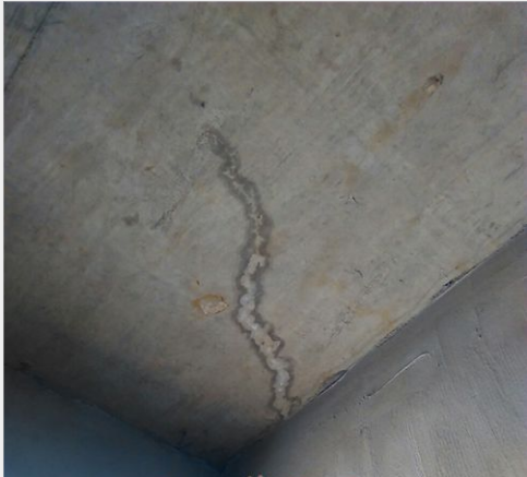 游艇会·yth206(中国)最新官方网站