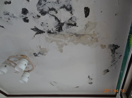 游艇会·yth206(中国)最新官方网站