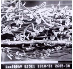 游艇会·yth206(中国)最新官方网站