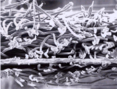 游艇会·yth206(中国)最新官方网站