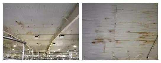 游艇会·yth206(中国)最新官方网站