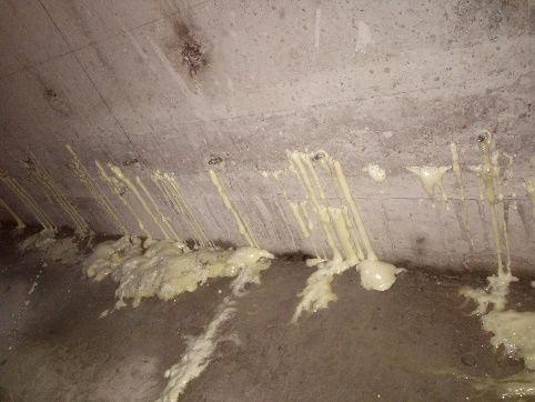 游艇会·yth206(中国)最新官方网站