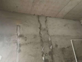 游艇会·yth206(中国)最新官方网站