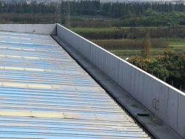 游艇会·yth206(中国)最新官方网站