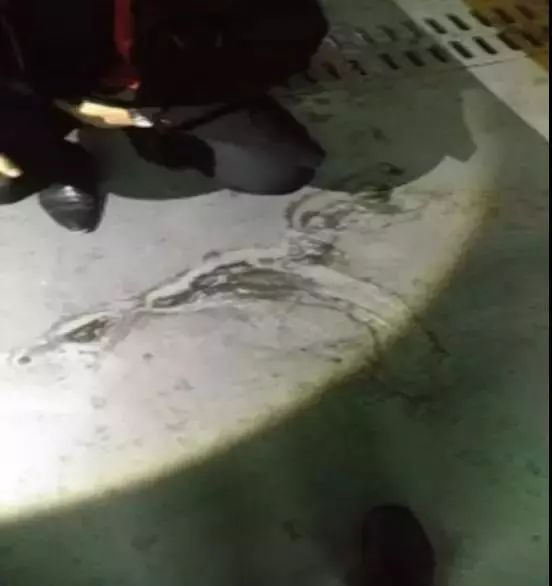 游艇会·yth206(中国)最新官方网站