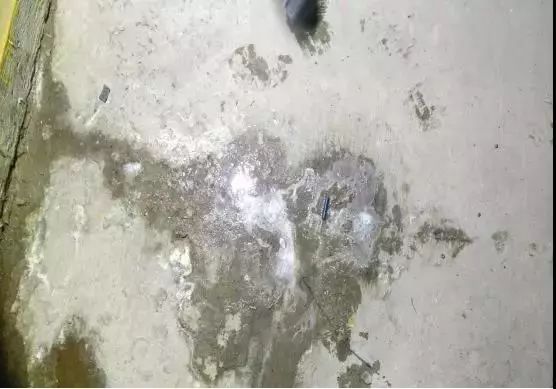 游艇会·yth206(中国)最新官方网站