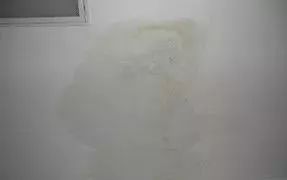 游艇会·yth206(中国)最新官方网站