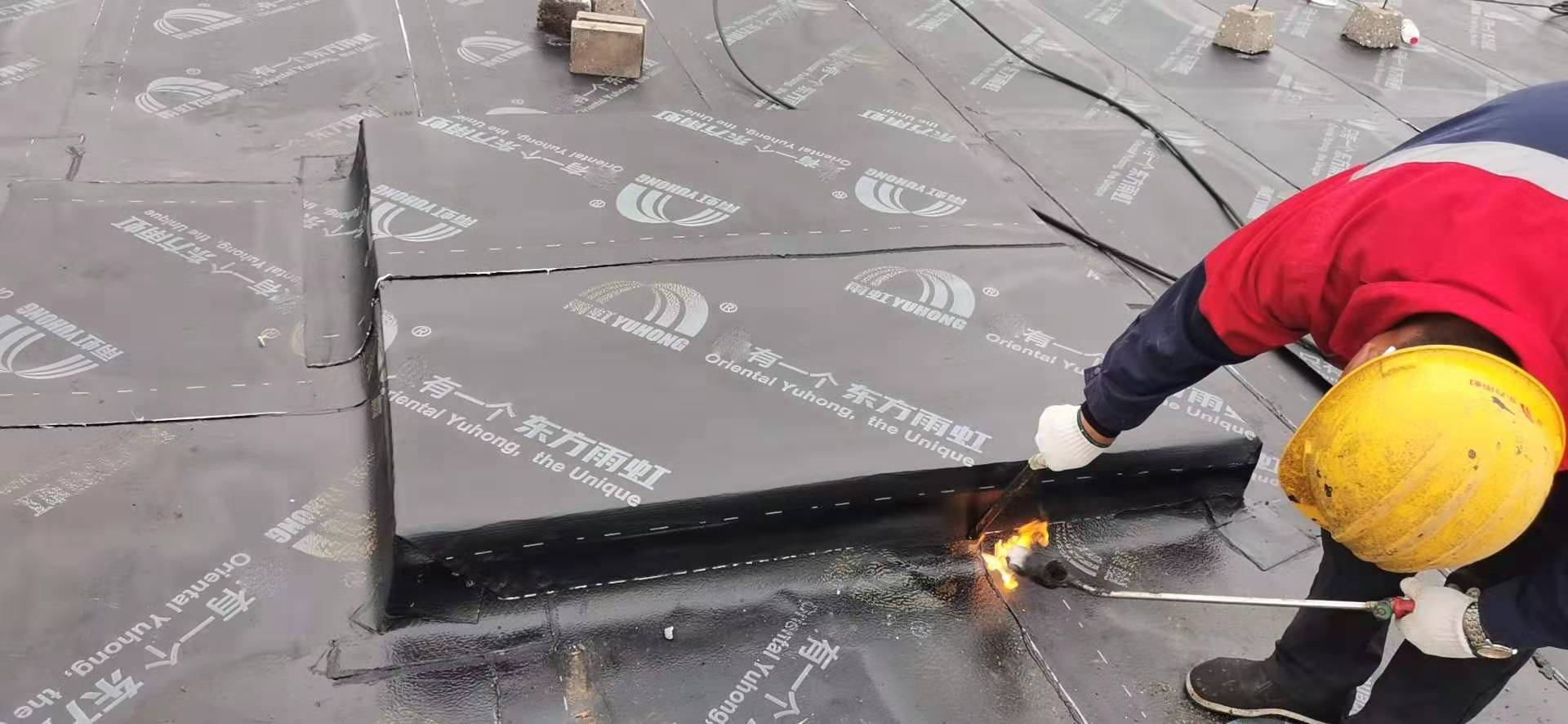 游艇会·yth206(中国)最新官方网站