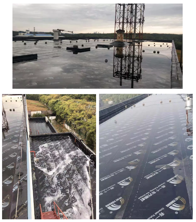 游艇会·yth206(中国)最新官方网站