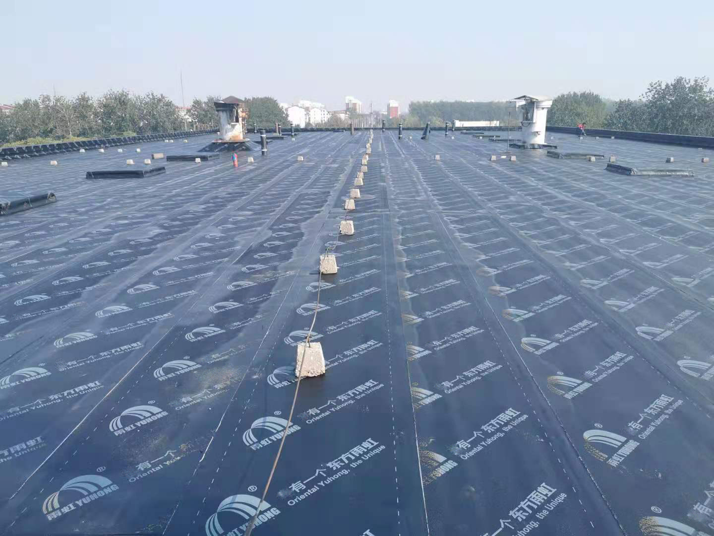 游艇会·yth206(中国)最新官方网站