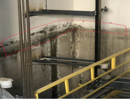 游艇会·yth206(中国)最新官方网站