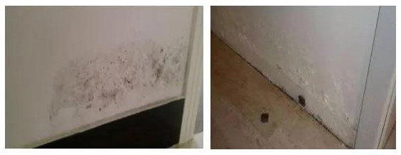 游艇会·yth206(中国)最新官方网站