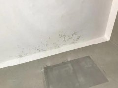 游艇会·yth206(中国)最新官方网站