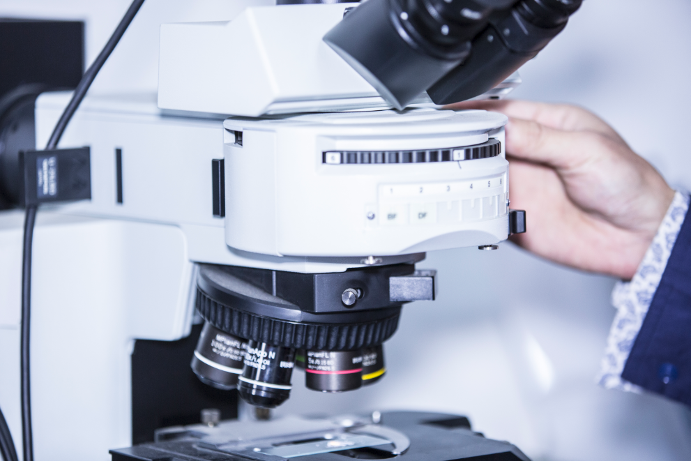 游艇会·yth206(中国)最新官方网站