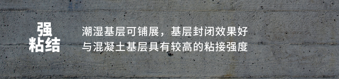 游艇会·yth206(中国)最新官方网站