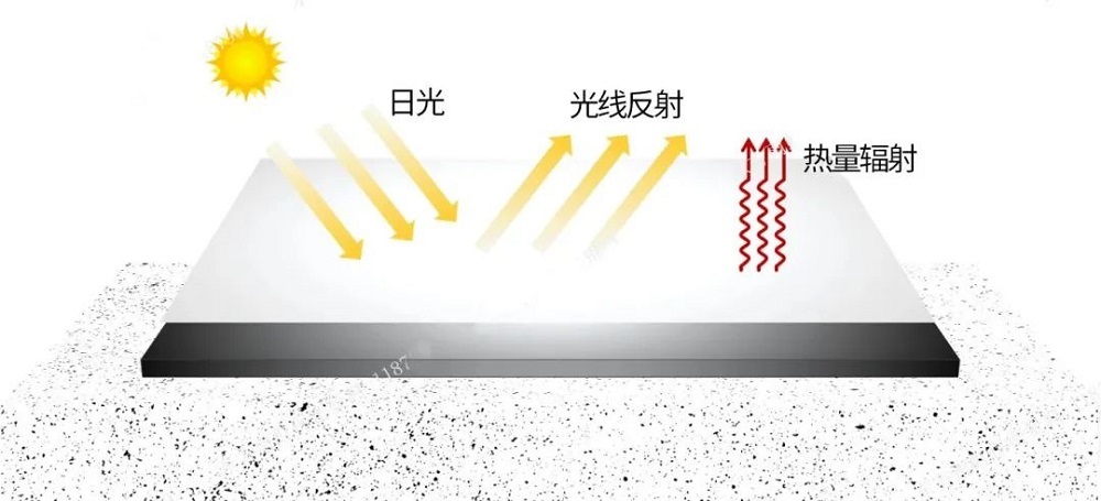 游艇会·yth206(中国)最新官方网站